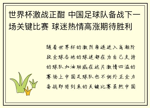 世界杯激战正酣 中国足球队备战下一场关键比赛 球迷热情高涨期待胜利